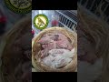 Sotos The Birds:Timbrado Español Classico 2026 Sotiris Nikologiannis TS22...