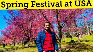 আমেরিকায় বসন্তকাল ॥ চারদিকে ফুল আর ফুল ॥ Spring Flower 🌺🌸 Festival at USA