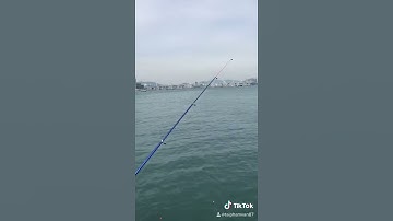 Đi câu cá biển Hàn quốc