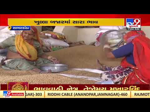 Farmers showing less interest in wheat procurement registration process in Sabarkantha |TV9News