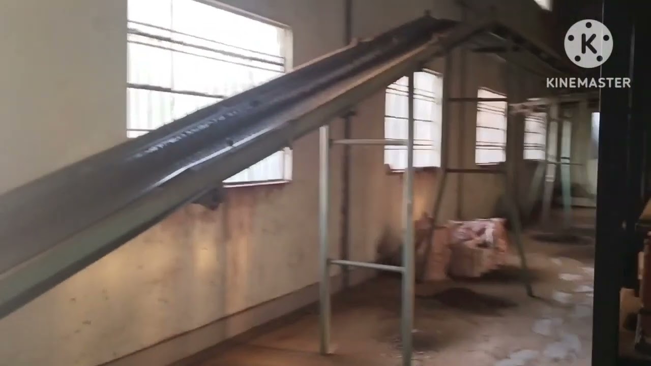 TEA FACTORY TOUR ASSAM 