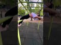 Pfff perfecto🔥🤙🏻😮‍💨 #fy #parkour  #deportesextremos #parkourlife #parkourpro #parkourcdmx #fyp