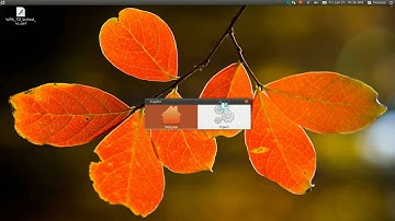 Remove Launchers from "Open With" Dialog - Ubuntu 10.10