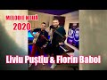 Liviu Pustiu & Florin Baboi - Hora Vagabontilor | Official Audio