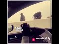 سوي دقدق هذه
