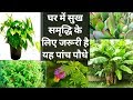 धन, समृद्धि के साथ घर में आएगी सुख-शांति,अपने घर में पौधा लगाते समय रखें इन बातों का खास ध्यान