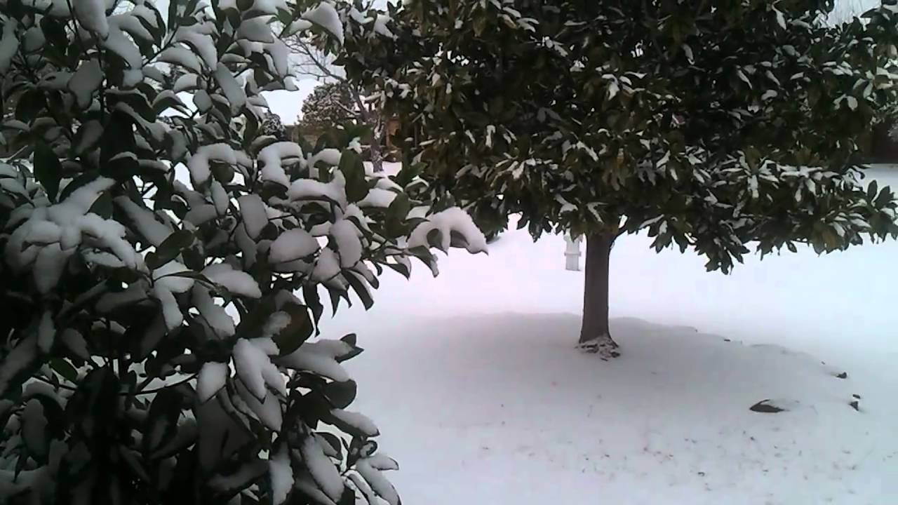 2411. Snow storm. Lewisville Texas YouTube