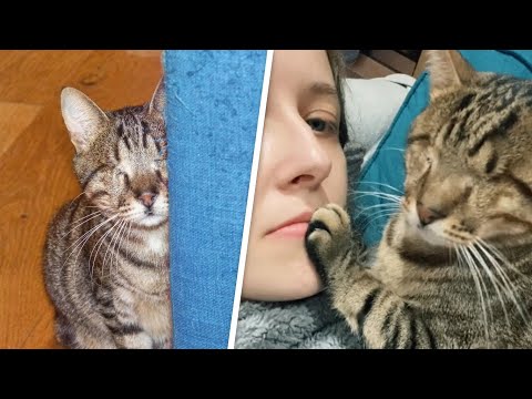 Video: Kiek man reikia maitinti mano kačiuką?