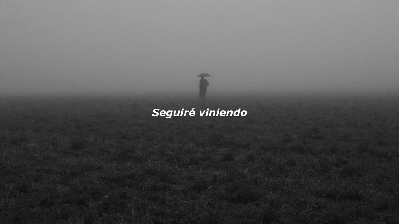 Сухое поле. Пустое поле песчаное. Белое поле. Пустое поле. Пустое перекати поле.