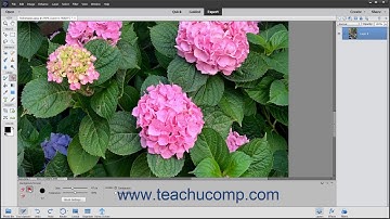 Photoshop Elements 2021 Tutorial The Background Eraser Tool Adobe Training