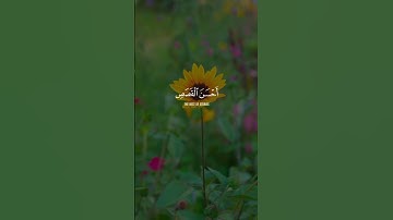 تلاوة تخطف القلوب | (نَحْنُ نَقُصُّ عَلَيْكَ أَحْسَنَ الْقِصَصِ) | الشيخ المنشاوي