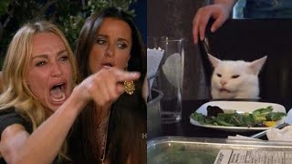 Woman Yelling at Cat Remade (No Watermarks) screenshot 3