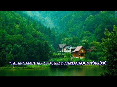 Tabancamın Sapını Gülle Donatacağum