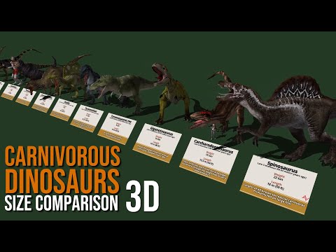 Meat Eating Dinosaurs Size Comparison 3D