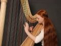 The minstrels adieu to his native land john thomas  by inge louisa on harp