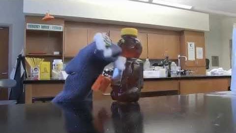 The Macromolecules Song