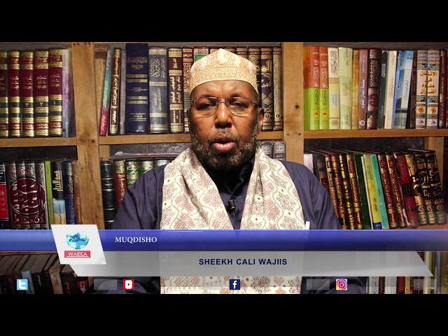 Mushukni yalagan ayolning HD porno videosi. Voyaga yetgan tukli sislar porno