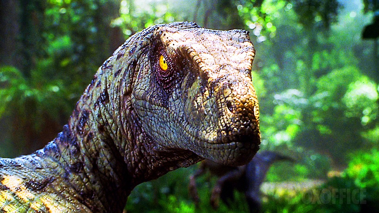 La scena dei raptor nel laboratorio | Jurassic Park III | Clip in Italiano