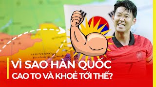 CÙNG Á ĐÔNG, VÌ SAO HÀN QUỐC CAO TO, KHOẺ TỚI THẾ?