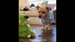 Cute And Funny Pets Compilations | Try Not To Laugh To These Pets Compilation 💗