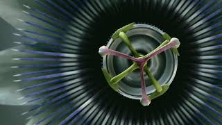 Thx Amazing Life Flat Trailer 2007