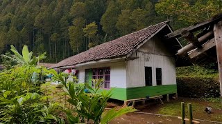 Satu Kampung Di Bawah Lembah Tersembunyi Di Tengah Hutan Jauh Ke Perkampungan Lain