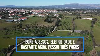 Quinta em Lardosa, Castelo Branco - 5.750 m2 de Terreno