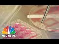 New treatment could help melanoma patients