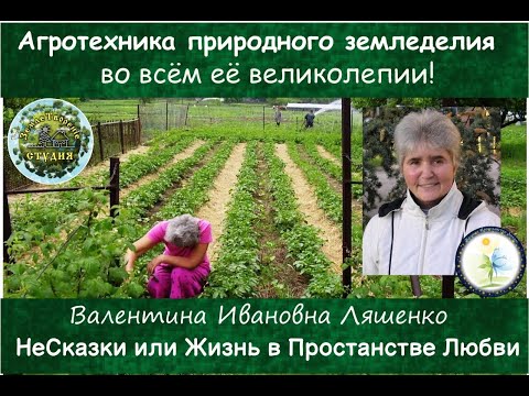 Агротехника природного земледелия во всем её великолепии