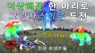 [이상해꽃 특집 3편]이상해꽃 한 마리로 그림자 스이쿤 도전/2계정 하드플랜트 배우기 Shadow Suicune Duo Raid Using Venusaur Only