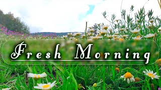 🌿🌞Begin Your Day With The Positive Energy Of Healing Spring Sounds 🌿Fresh Morning Rainy Day Ambience