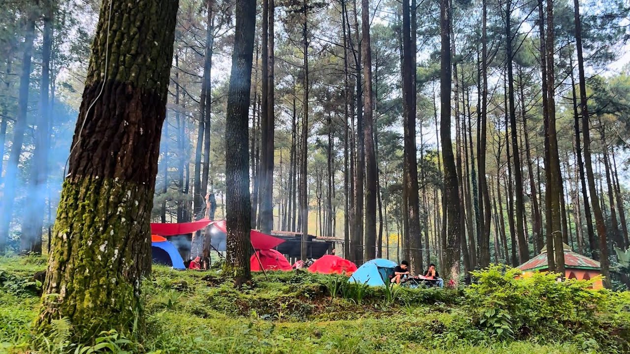 Syahdu banget camping di Pinusan, Nglimut | Camping Ground di Kendal : Camping vlog 6
