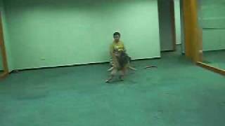 980428 熊爸親自看診 9 5