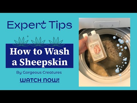 How to Wash a Sheepskin Rug at Home by Gorgeous Creatures (2022)