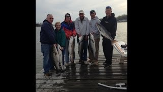 Rock Fishing Chesapeake Bay