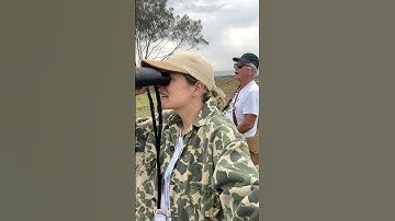 Day four! Of the Aussie Bird Count! #wildlife #birdwatching