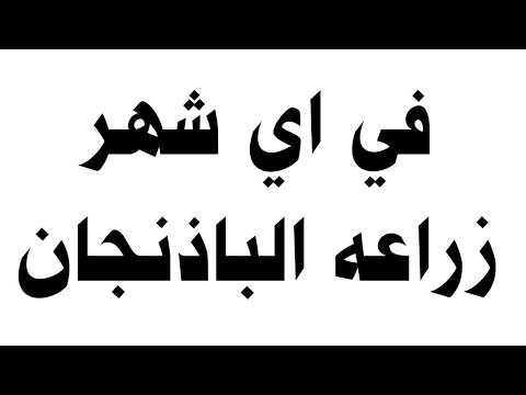 فيديو: متى تزرع الباذنجان للشتلات في عام 2019: التواريخ العامة والتقويم القمري