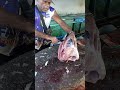 Wow segar banget tuna nya