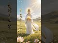햇살 속에 피어난 #자비광명 #관세음보살 #부처님 #불교