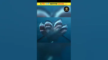 MYSTERIOUS 3 HEADED SHARK 😳 #shorts #viral #sharks #facts