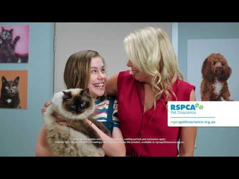 RSPCA Pet Insurance - Fetch TVC (60)