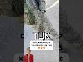 Woman Kicks Out TCC From Village‼️рџ Subscribe To Support вќ пёЏ Woman Kicks Out TCC From Village‼️рџ Subscribe To Support вќ пёЏ