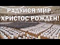 Центральная церковь баптистов г.Сеула. Радуйся мир, Христос рожден!