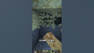 Easy Minecraft Beach Waves Trick Anyone Can Do!