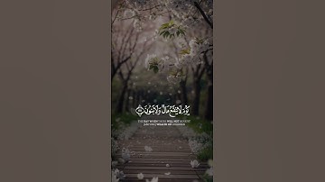 وَلَا تُخْزِنِي يَوْمَ يُبْعَثُونَ#القارئ_احمد_النفيس #سورة _الشعراء#قرآن #راحة_نفسية #المصحف