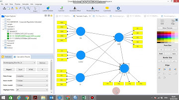 Multigroup Moderation and Moderated Mediation by Tasneem Saifuddin