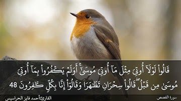 الصفحة 391 سورة القصص بصوت القارئ المهندس أحمد فايز الحراسيس