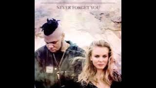 Zara Larsson,MNEK - Never Forget You (Male Version)