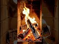 Satisfying Fire ASMR. #fireplace #asmrfire #ai