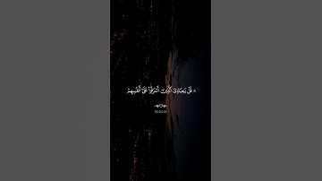 لاتقنطوا من رحمة الله |ارح قلبك😴|#قرآن #تلاوة_خاشعة #راحة_نفسية #ناصر_القطامي #اكسبلور #تابعوني#لايك